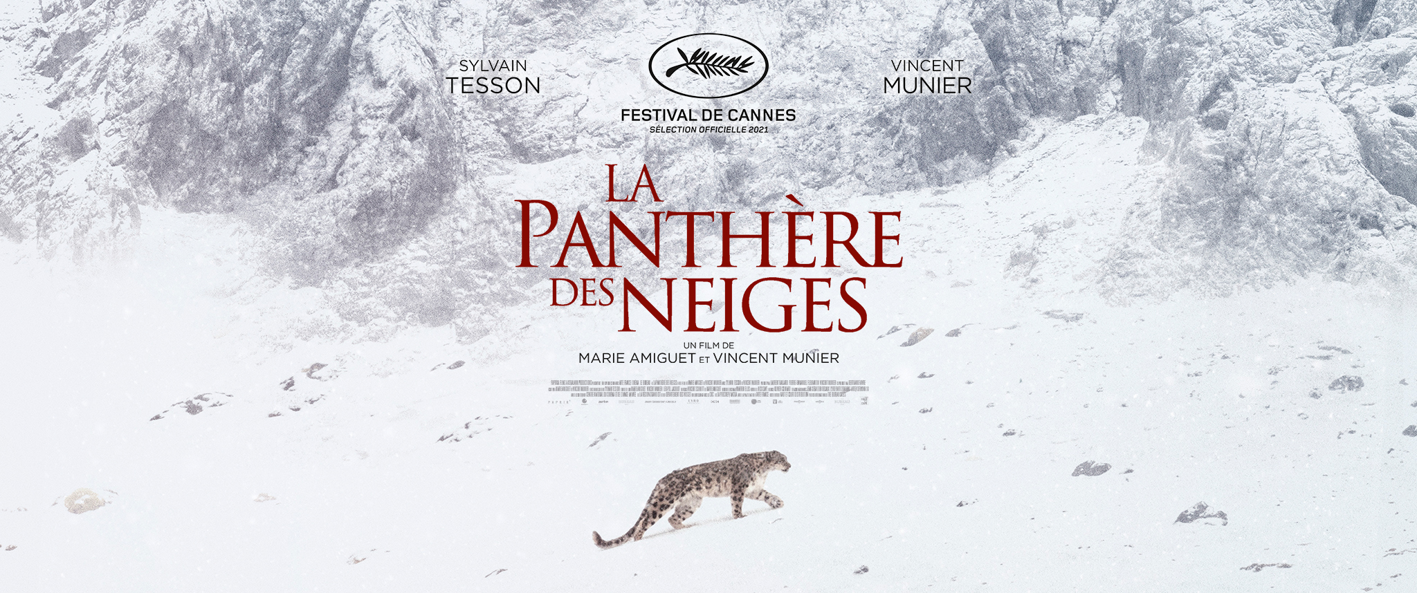 La panthère des neiges