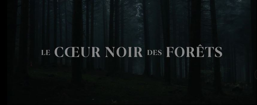 Le cœur noir des forêts