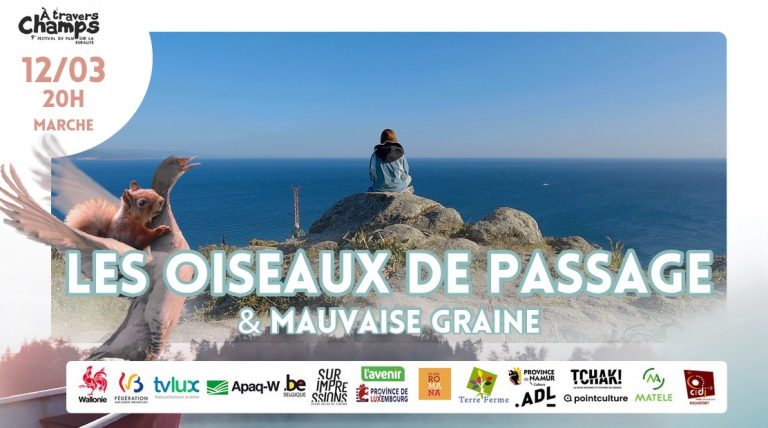 Les Oiseaux De Passage Mauvaise Graine Cinemarche Asbl