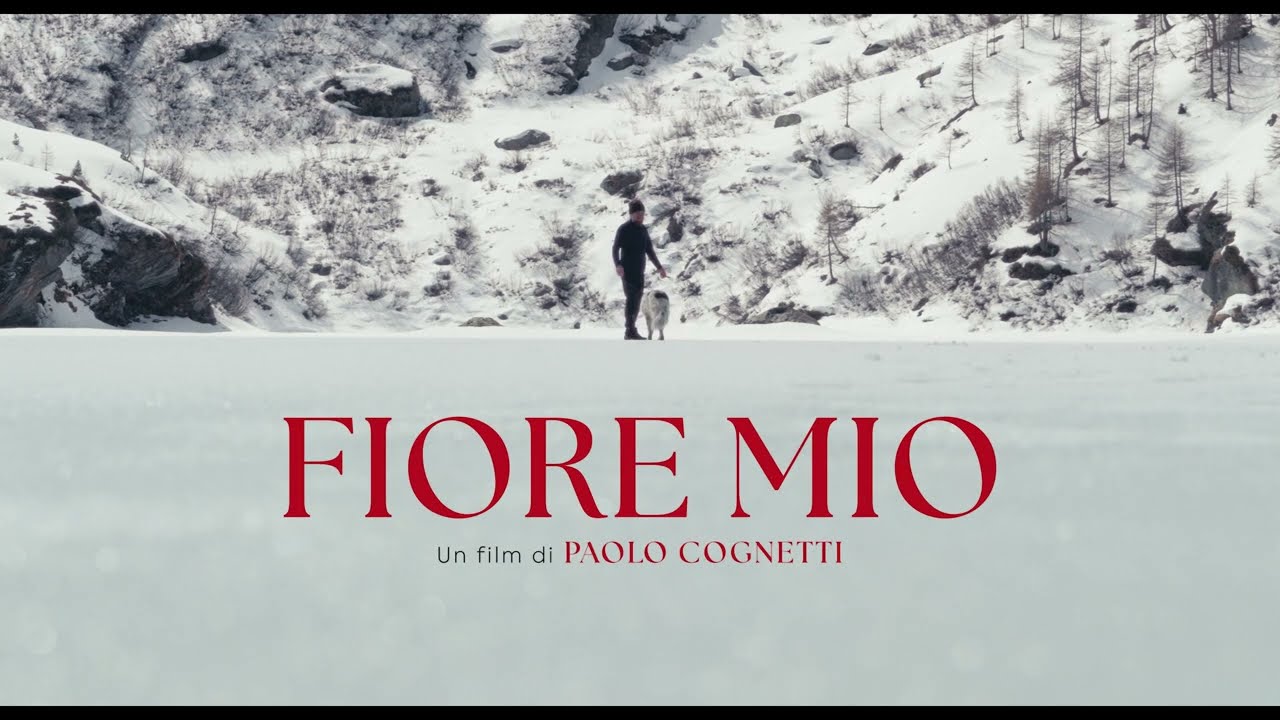 Fiore mio – Ciné-rencontre (précédé de Après l’ondé)