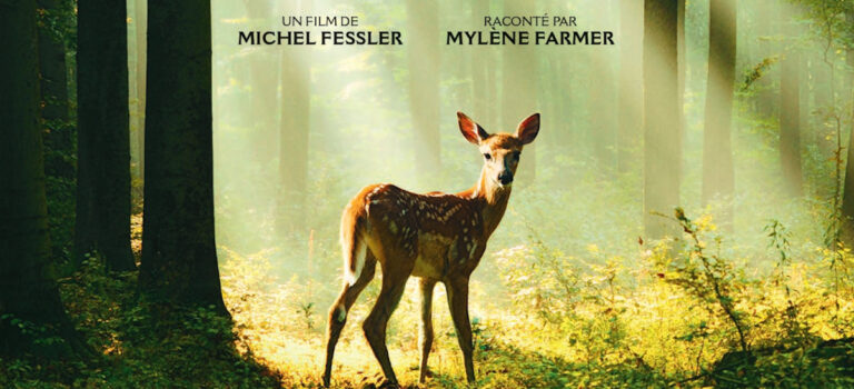 Bambi, l’histoire d’une vie dans les bois Bambi, l’histoire d’une vie dans les bois