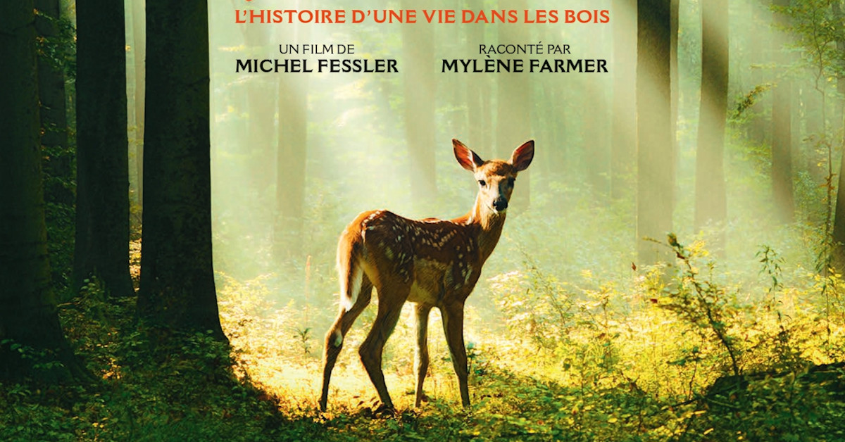 Bambi, l’histoire d’une vie dans les bois