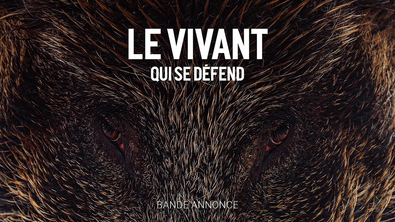 Le vivant qui se défend