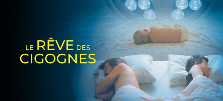 Le rêve des cigognes