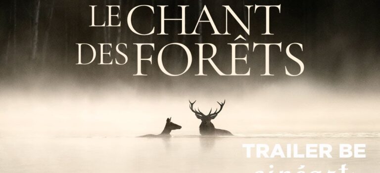 Le Chant des Forêts – EVENEMENT