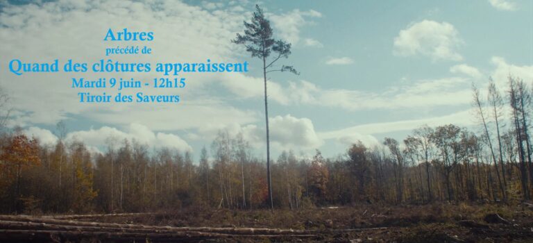 Quand des clôtures apparaissent + Arbres !