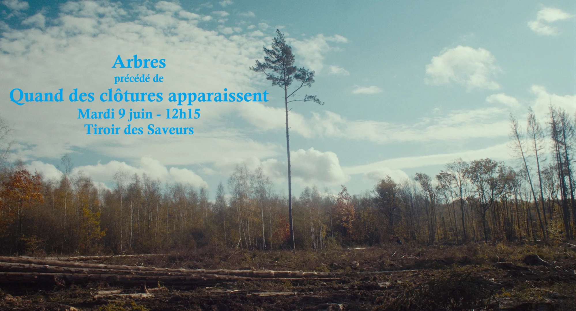 Quand des clôtures apparaissent + Arbres !