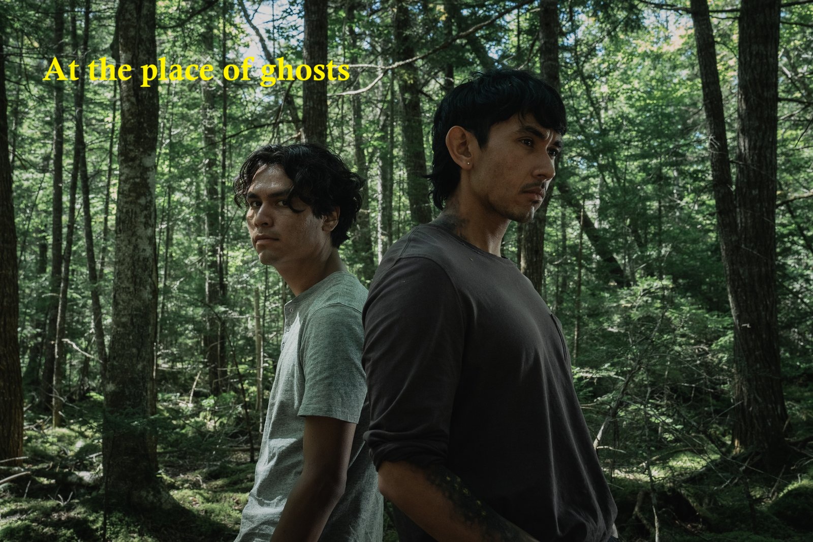 At the place of ghosts (Sk+te’kmujue’katik)